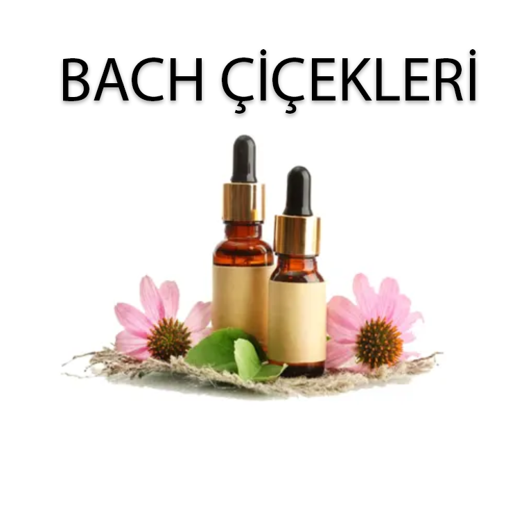 bach çiçekleri banner